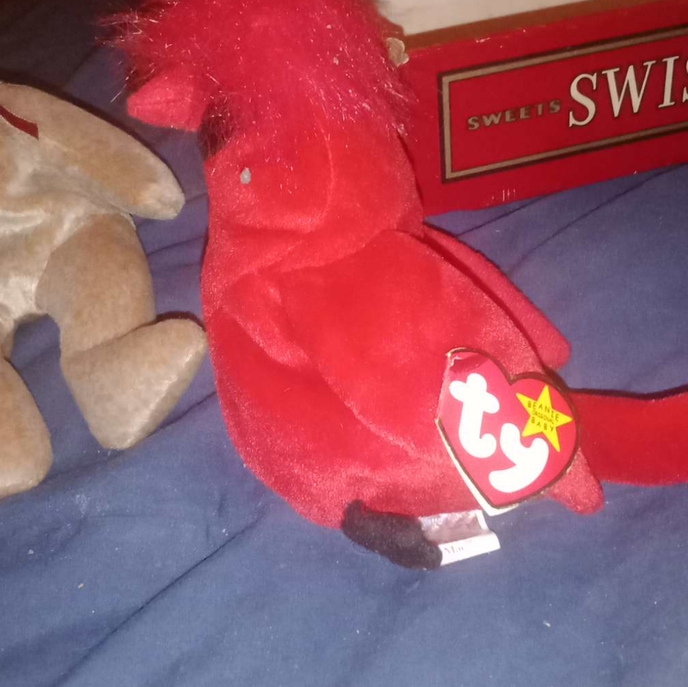 Mac the cardinal with rare tag errors